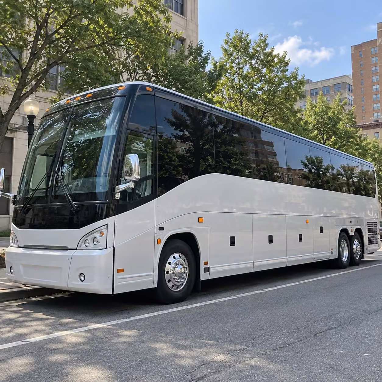 56 passenger charter bus